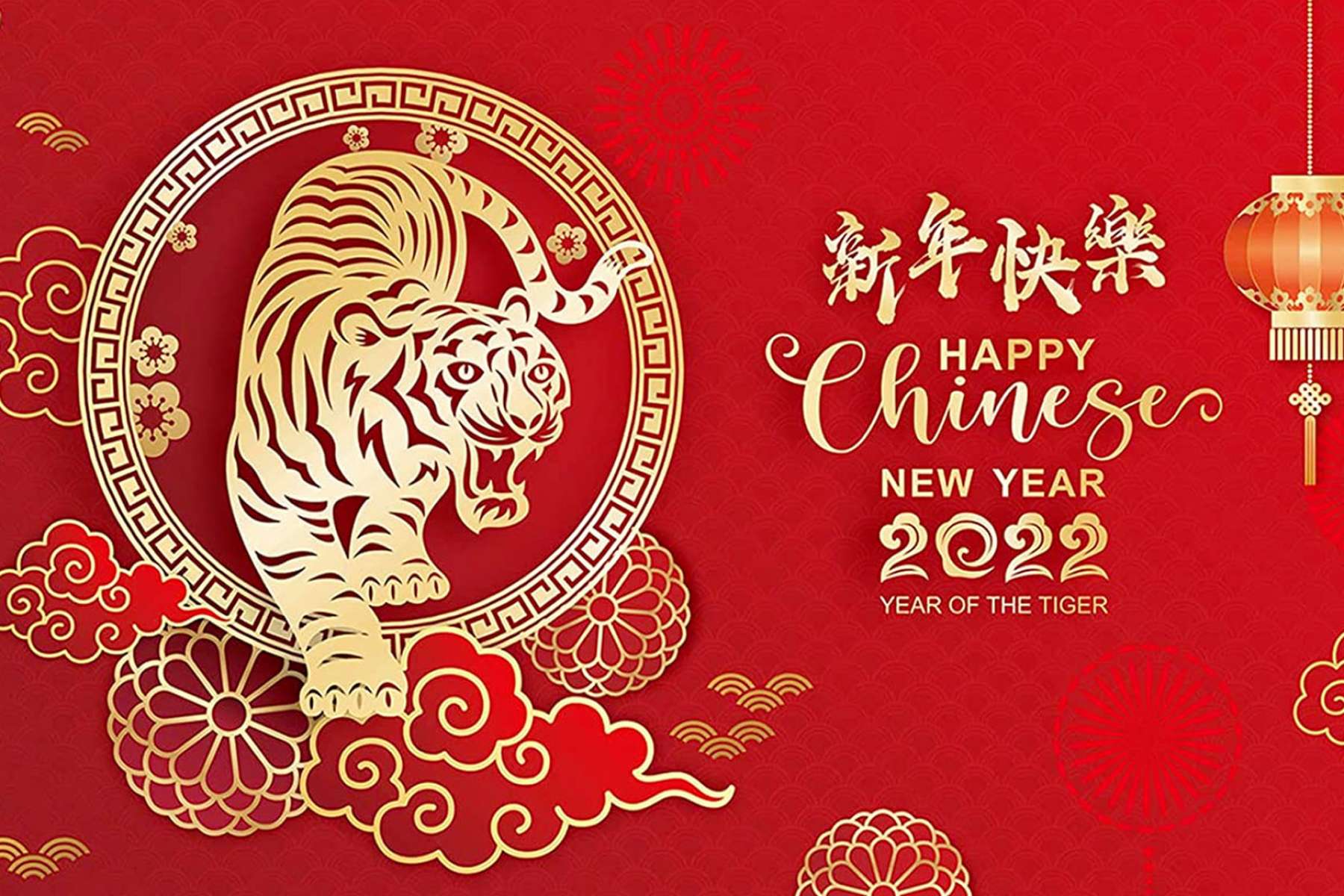 Chinese New Year Water Tiger 22