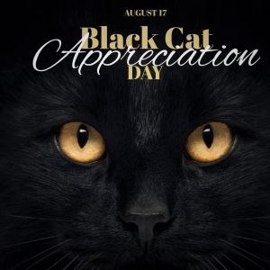 Black Cat 10