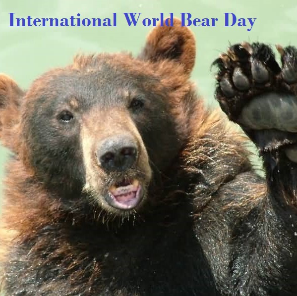 World Bear Day 2 a