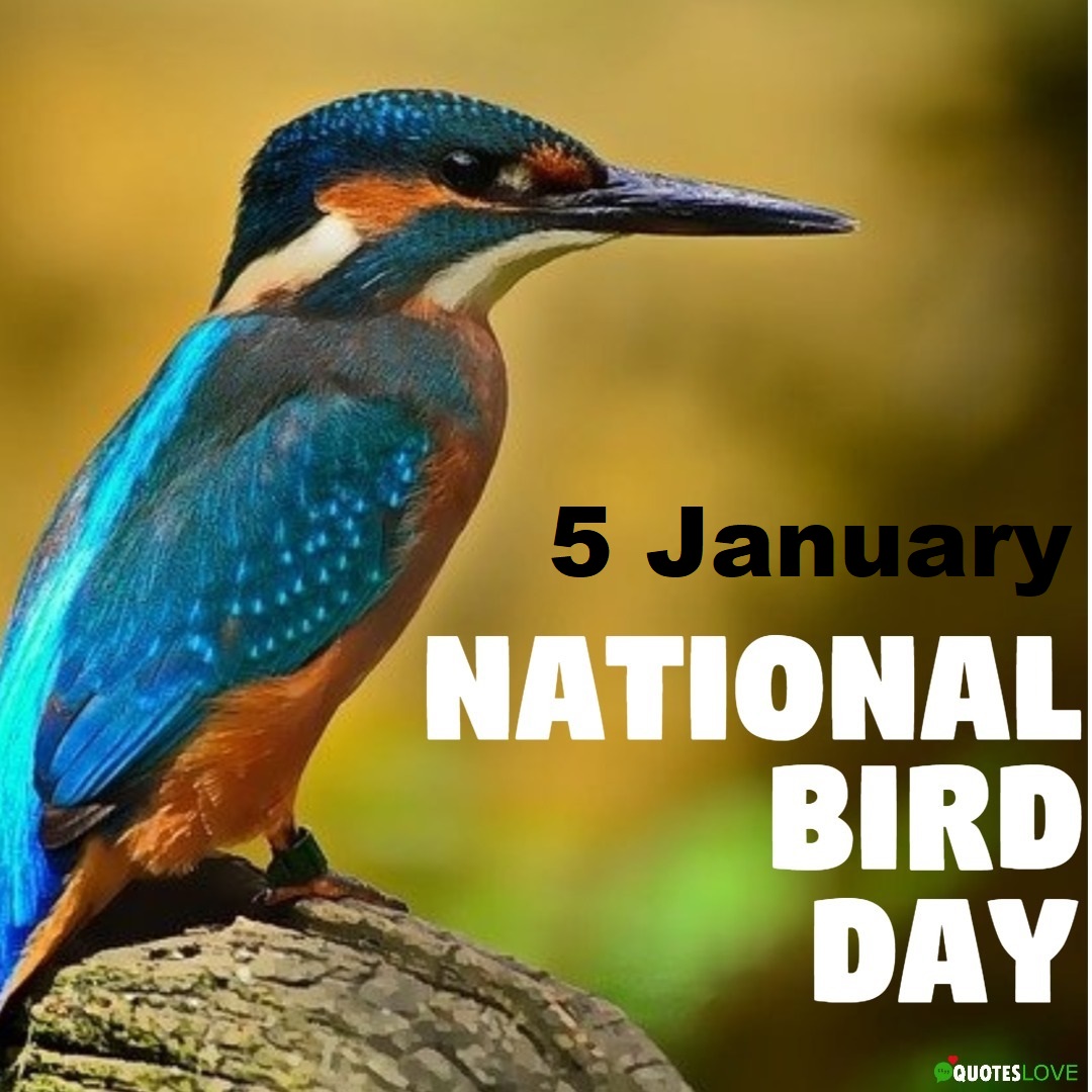 National Bird Day 2
