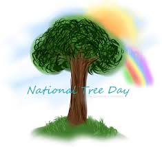 National Tree Day 3
