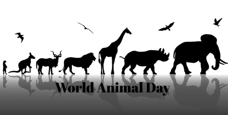 World Animal Day 2